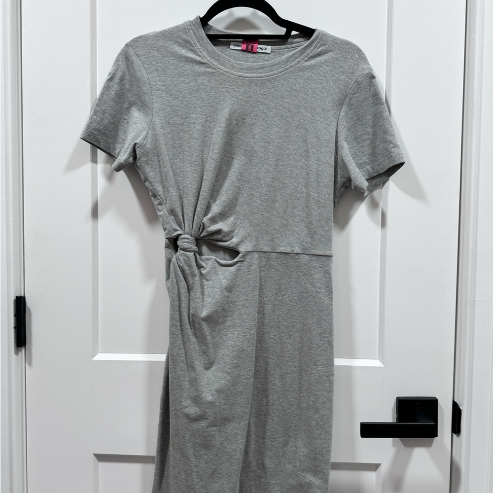 Alexander wang T shirt grey dress